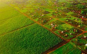 agriculture-africa