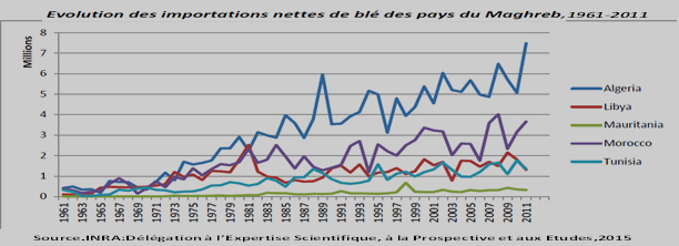 Evolution des importations nettes de blé des pays du Maghreb
