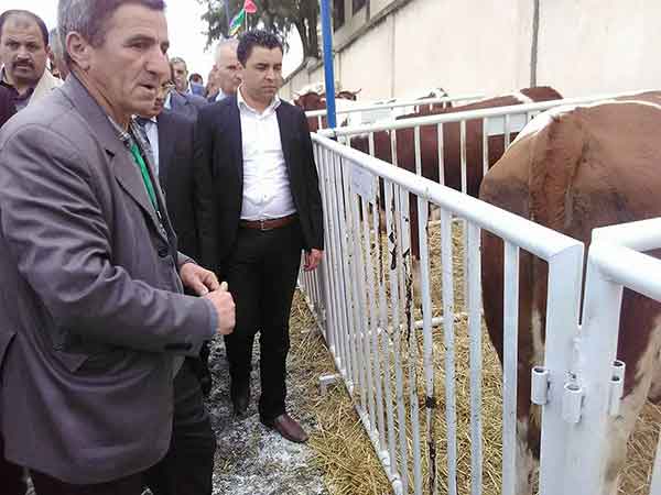 APW Tizi-Ouzou