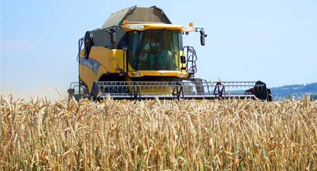 Céréales : l'USDA prévoit une amélioration de la production de l'Algérie durant la campagne 2022/2023