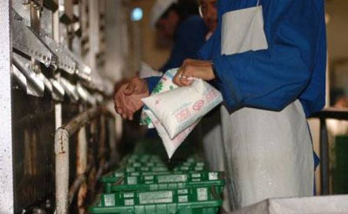 Arrestation d'un individu pour fraude dans la transformation du lait subventionné en petit lait