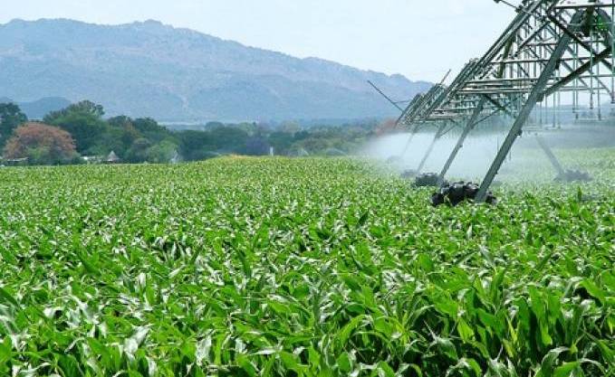 Oran/Mostaganem : un système d’irrigation intelligent pour des exploitations agricoles