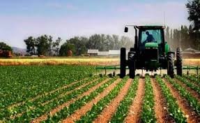 Agriculture Le privé, cet investisseur incontournable  Algerie Eco