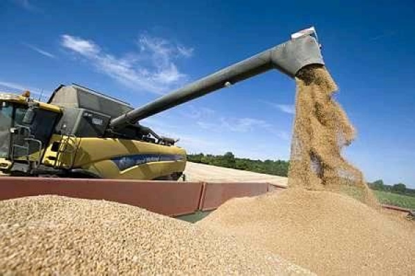 Ali Zoubar du ministère de l’agriculture : l’Algérie a les réserves suffisantes en blé