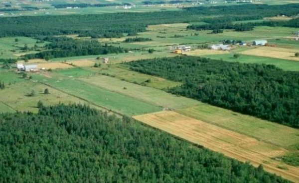 Foncier agricole non-exploité : récupération de plus de 750.000 hectares