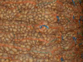 2,5 tonnes de pomme de terre algérienne saisies en Tunisie