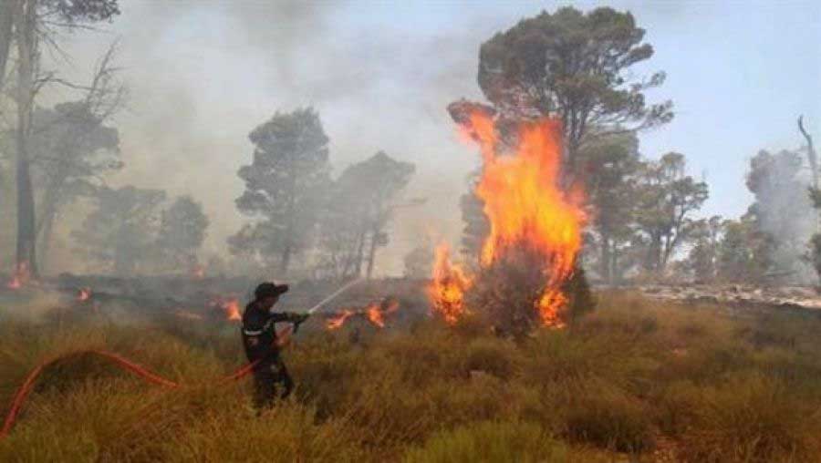 Le ministre de l’Agriculture dévoile: Les derniers incendies ont détruit plus de 89.000 hectares