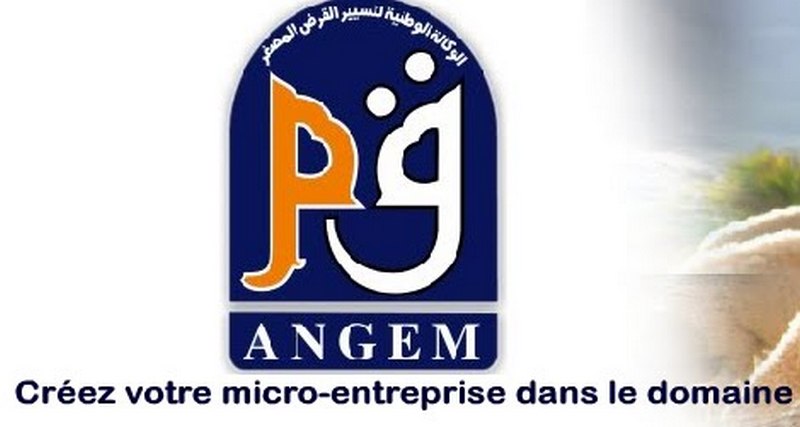 ANGEM: plus de 1100 micro-entreprises créées au 1er trimestre 2022