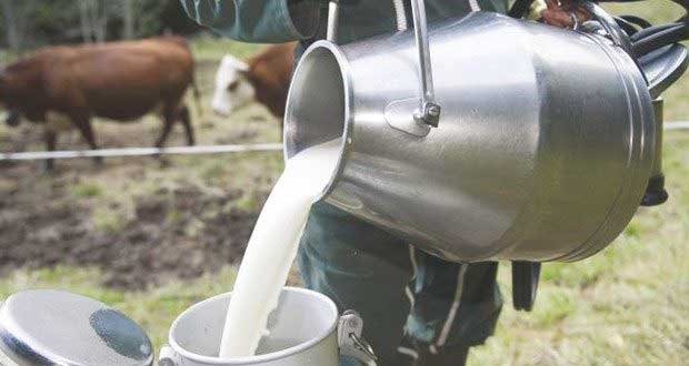 60 millions de litres de lait cru collectés par mois et aucune crainte de pénurie