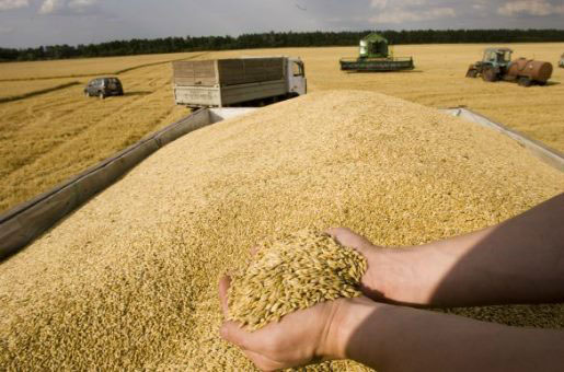 Henni : entame de la numérisation de gestion des stocks de céréales