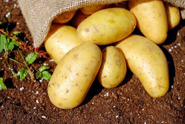 Boumerdès : Saisie de plus de 8.160 tonnes de pommes de terre stockées