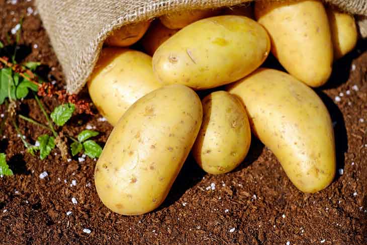 Coupe-crassement de pomme de terre et éplucheur Algeria