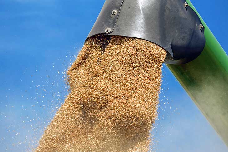 Les importations algériennes de blé français en hausse