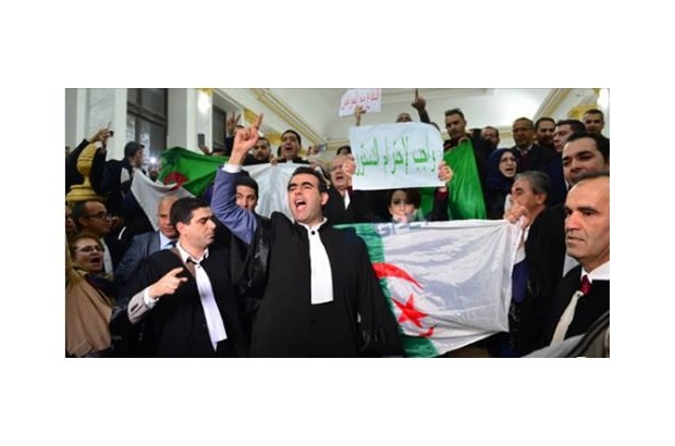 avocats algériens