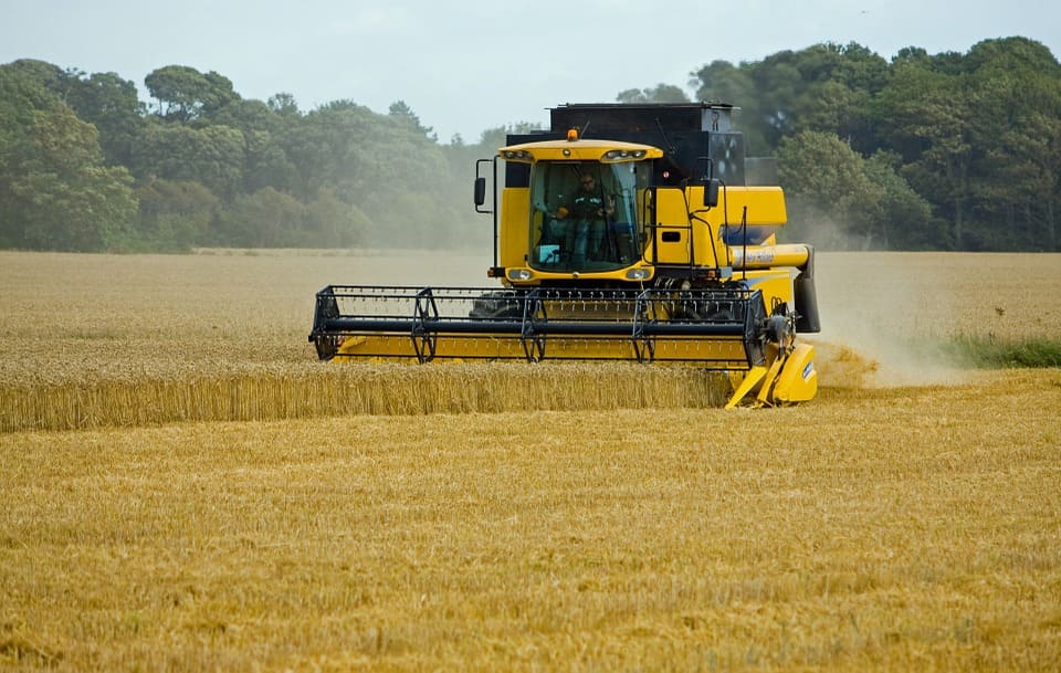 Céréales : L’Algérie achète 510 000 tonnes de blé