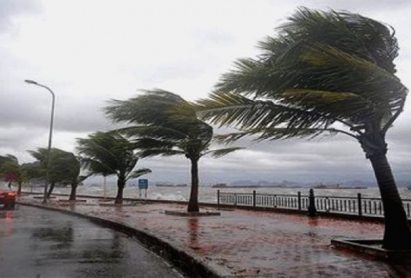 BMS : pluies et vents violents sur plusieurs wilayas