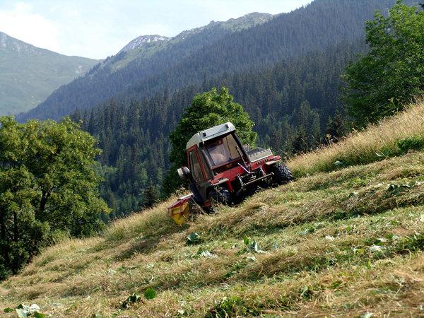 Sécurité alimentaire : L’enjeu capital de l’agriculture de montagne en cas de crise