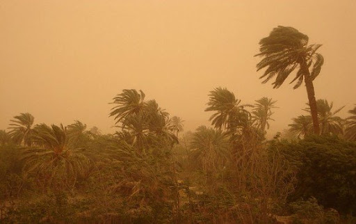 Des vents forts jusqu’à dimanche sur plusieurs wilayas du sud du pays
