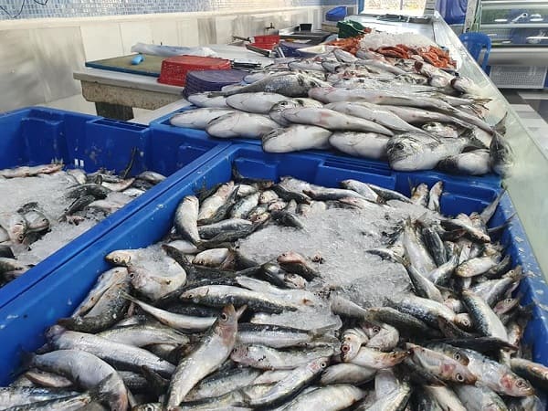 Augmenter la production nationale en poissons: le ministre expose sa stratégie