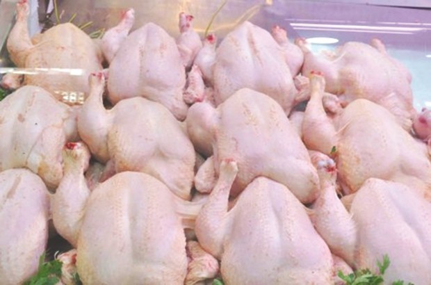 Baisse du prix du poulet : l'ONAB annonce des mesures au profit des aviculteurs