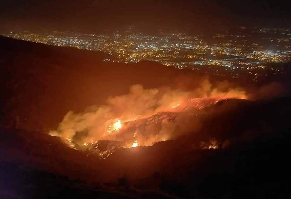 Feux de forets: Dix wilayas touchées par d'importants incendies
