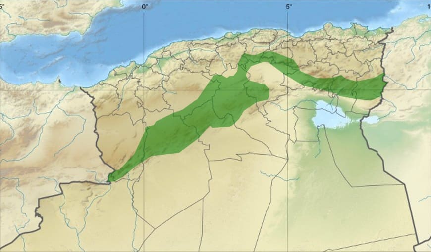 Barrage vert : plantation de 21.000 hectares depuis la relance du projet en 2023