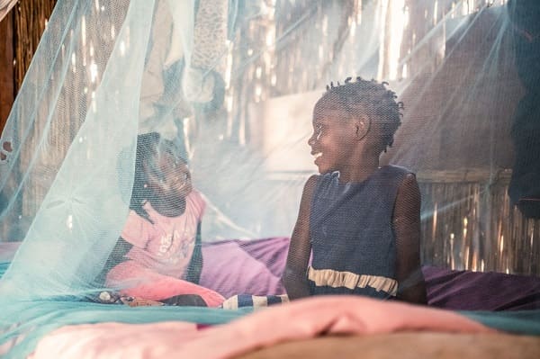 En Afrique subsaharienne, le paludisme tuera plus de personnes que le coronavirus, prévient l'OMS
