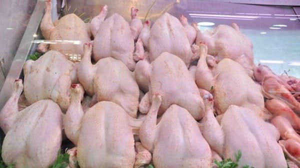 Viandes blanches : les dérogations d'importation des intrants avicoles délivrées