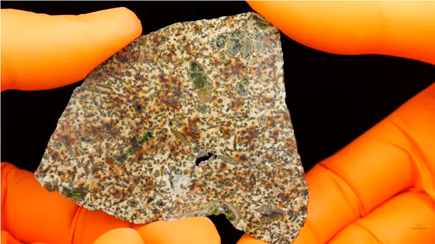 Découverte en Algérie, la météorite "Erg Chech 002" entre dans le Guinness  des records - Algerie Eco