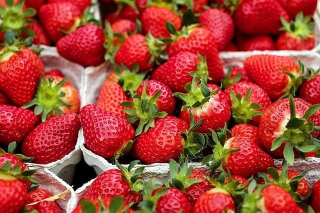 #fraise #skikda