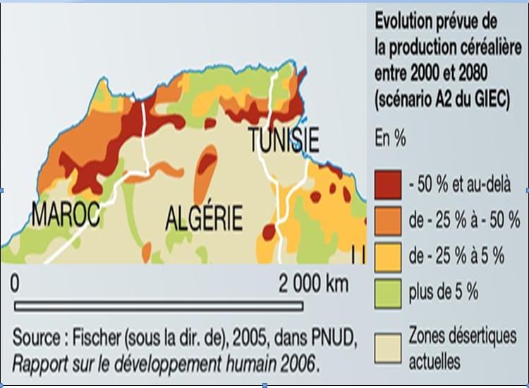 Sofiane Benadjila : « Ce n’est pas le déficit pluviométrique qui menace la sécurité alimentaire mais la prévisible diminution de  la rente pétrolière »