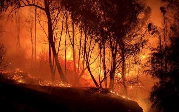 Tizi-Ouzou et Boumerdes : Plusieurs incendies enregistrés