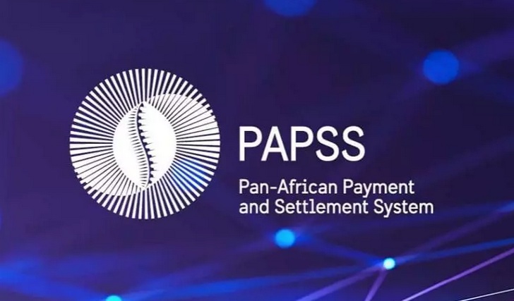 Intra-African trade: Launch of the PAPSS payment system