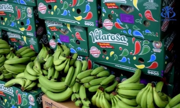 Affaire de saisie de 1243 tonnes de bananes : une personne condamnée à 3 ans de prison