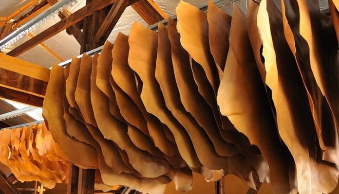 Unité des cuirs de Batna : près de 60.000 unités de cuir exportées depuis début 2022