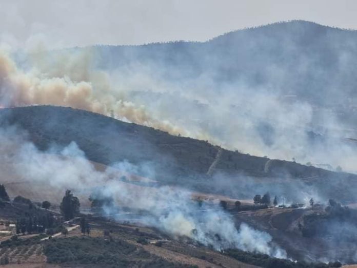 Onze foyers d'incendies enregistrés ce dimanche à travers six wilayas