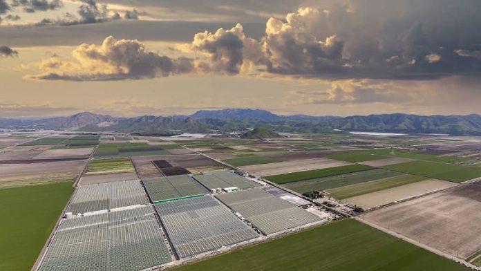 Une trentaine d’agriculteurs algériens en mission en Californie février prochain