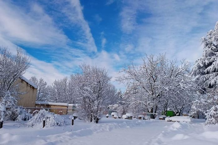 Vague de froid sur plusieurs wilayas du Nord du pays