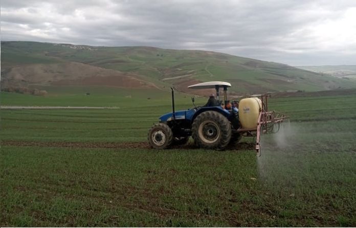 Constantine : Près de 18 millions DA pour l'indemnisation des agriculteurs et éleveurs en 2022
