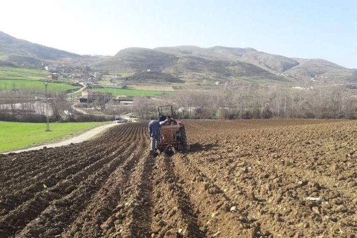 Agriculture: revoir l'exploitation du foncier agricole, une priorité pour le secteur en 2023