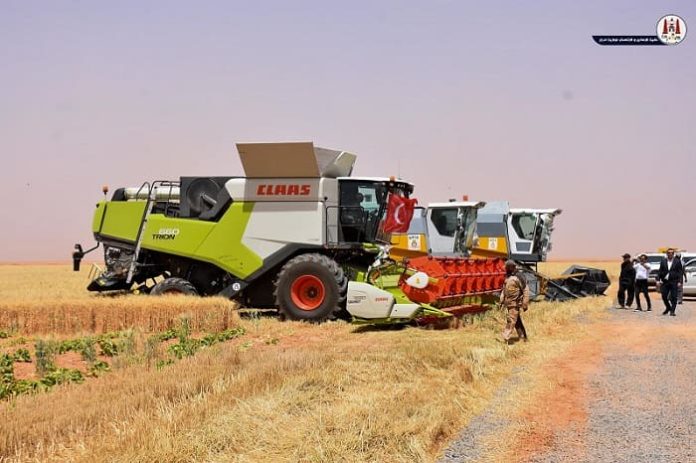 Adrar : le projet agricole de la société turque Dunaysir produit ses premières récoltes