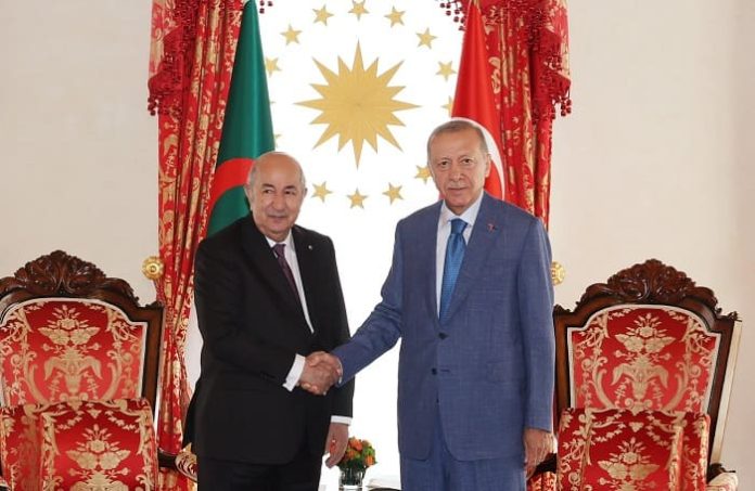 Le président Tebboune reçu par son homologue turc