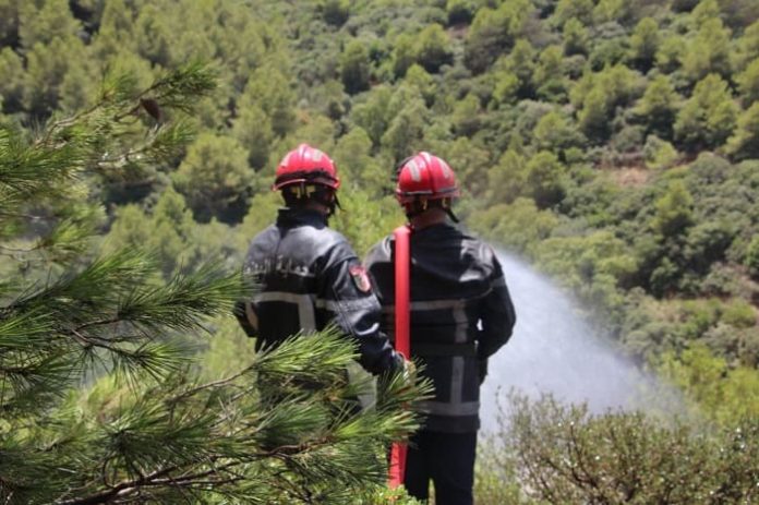 Tizi-Ouzou: plus d'une vingtaine d'incendies enregistrés maitrisés