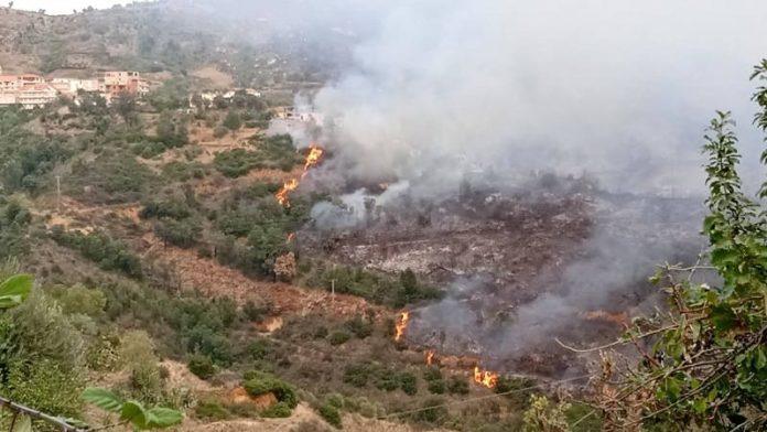 Extinction de la majorité des feux de forêts dans plusieurs wilayas