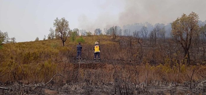 Bejaia : les incendies déclarés vendredi soir maitrisés (Protection civile)