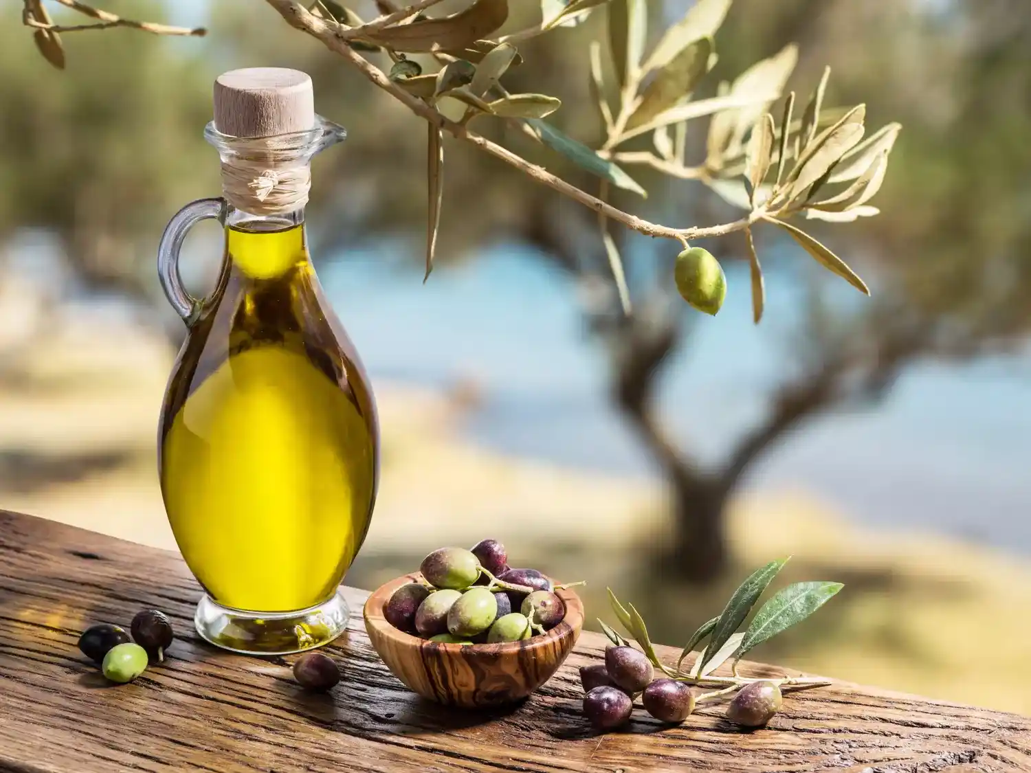 Une huile d’olive de Mila primée lors d’un concours international en Tunisie
