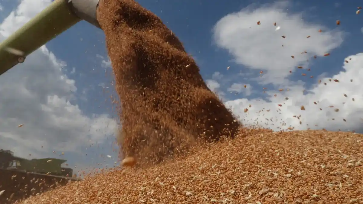 les prévisions américaines concernant les importations de blé