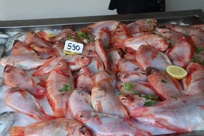 Ramadhan : lancement de l'opération de vente directe des produits de la pêche et de l'aquaculture