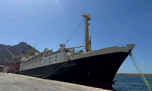 Port d’Oran : arrivée d’un navire transportant des moutons en provenance de Roumanie